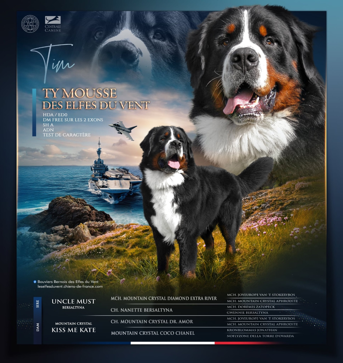 Ty mousse des Elfes Du Vent