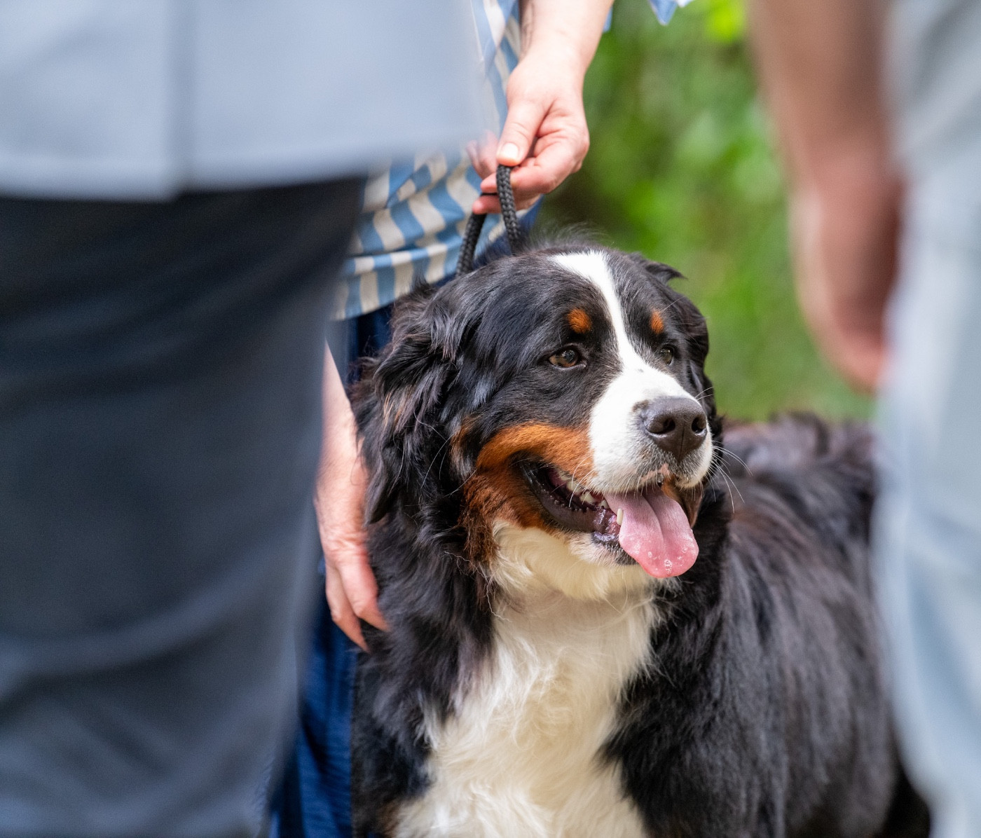 Viviane Pretty Woman des Elfes Du Vent