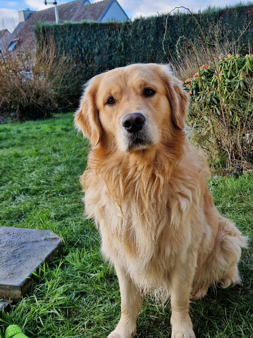 Uby des Elfes Du Vent