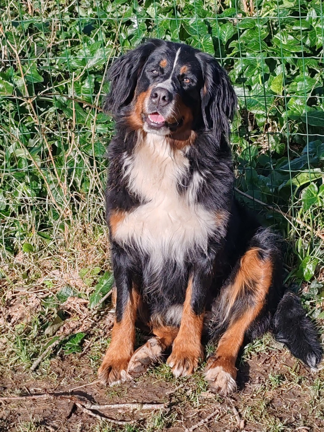 RETRAITÉE CHERCHE FAMILLE 5 ETOILES