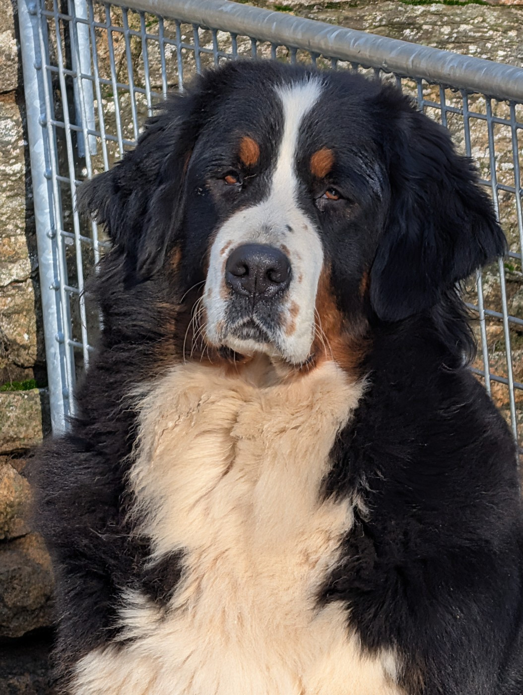 ENFIN DES BB POUR FIN MARS 2026