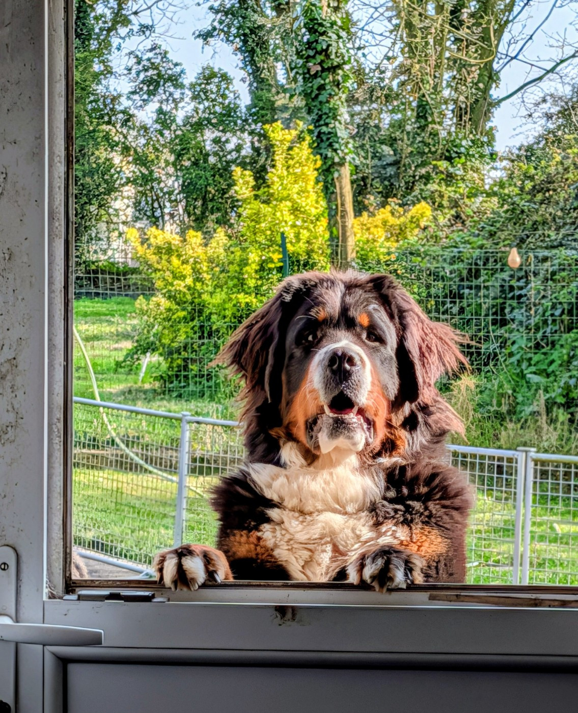 CONDITIONS VISITE D'ÉLEVAGE AVANT RESERVATION