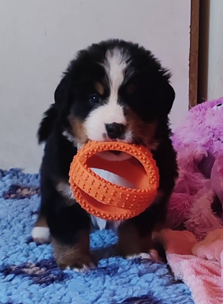 Tous nos bébés ont une famille